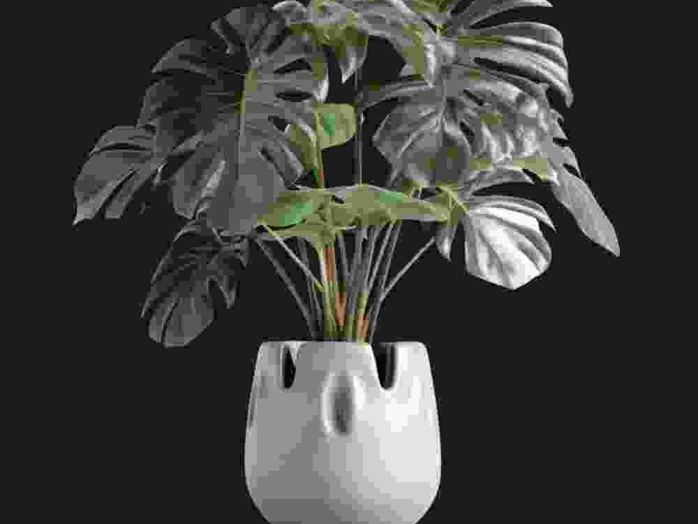 Shop Secondary Image