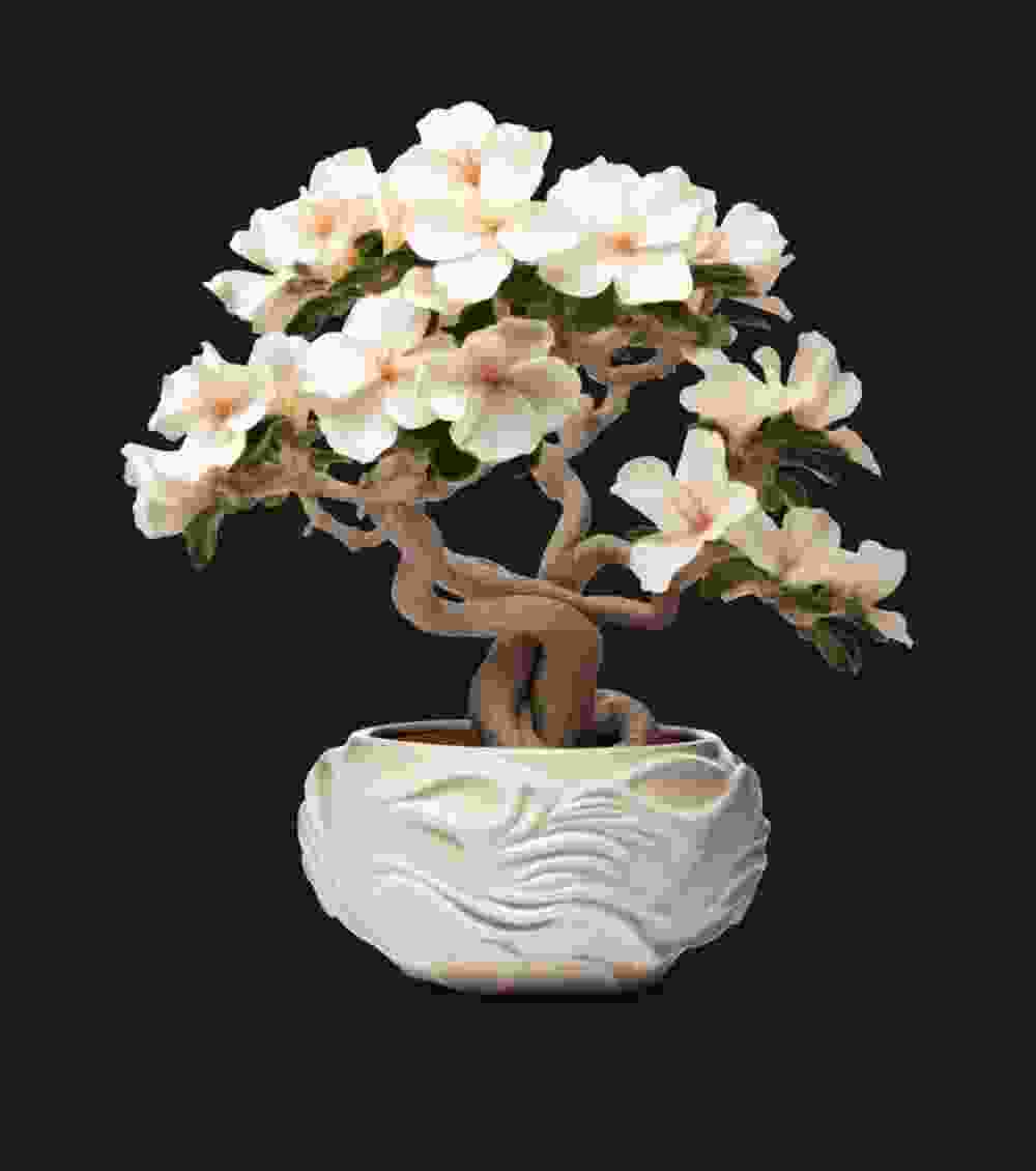 Creative Bonsai Plant
